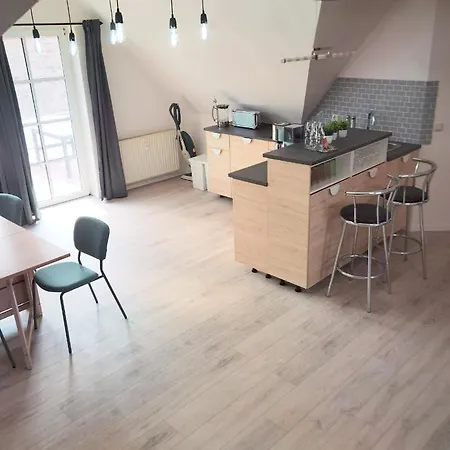 Apartament Grosses Offenes Loft Oder Kleine Gemuetliche Mit Balkon