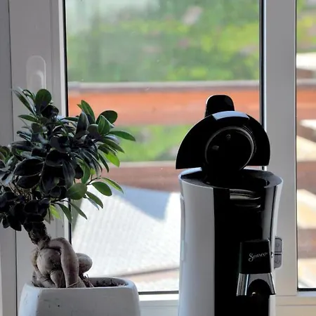 Appartement Grosses Offenes Loft Oder Kleine Gemuetliche Mit Balkon