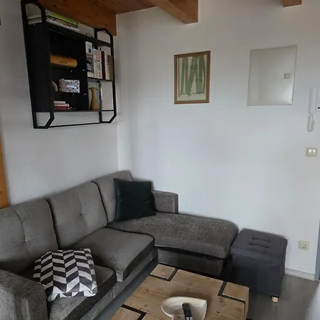 Grosses Offenes Loft Oder Kleine Gemuetliche Mit Oder Ohne Balkon Lägenhet