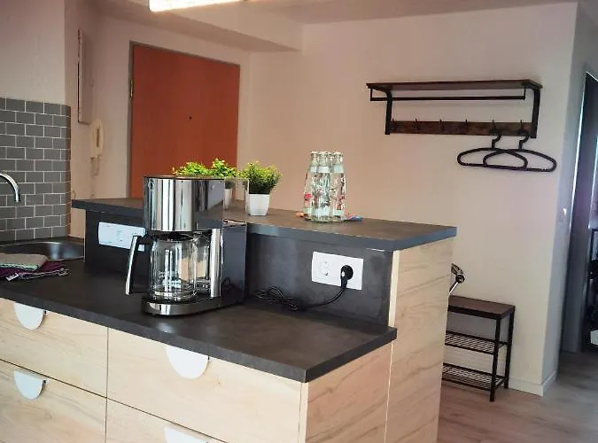 Grosses Offenes Loft Oder Kleine Gemuetliche Wohnung Mit Oder Ohne Balkon Wolmirstedt