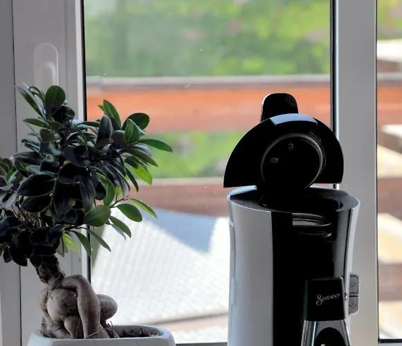 アパート Grosses Offenes Loft Oder Kleine Gemuetliche Wohnung Mit Oder Ohne Balkon